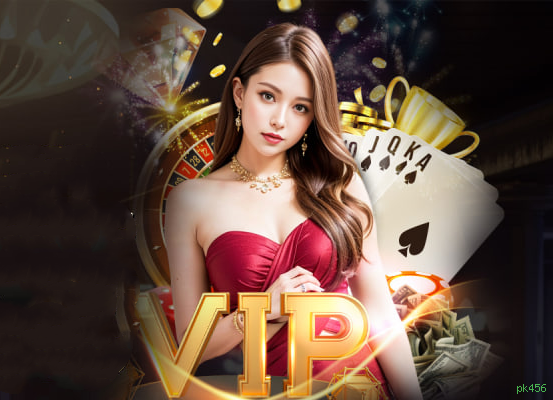 Programa VIP pk456